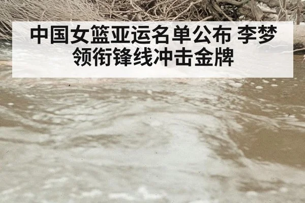 中国女篮亚运名单公布 李梦领衔锋线冲击金牌
